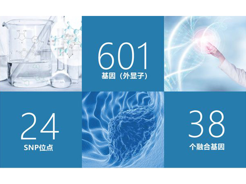 腫瘤全面用藥基因檢測